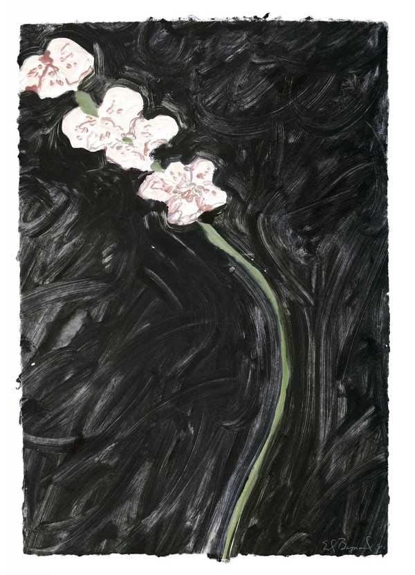 Monotype (B-2)