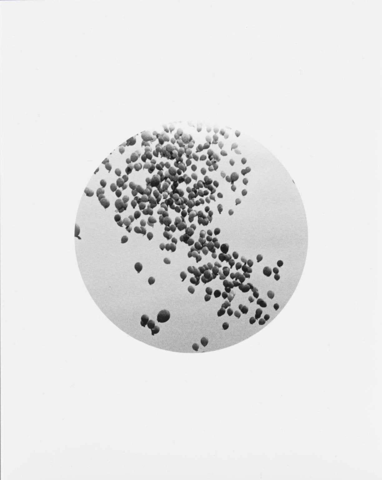 Untitled (Balloons escaping)