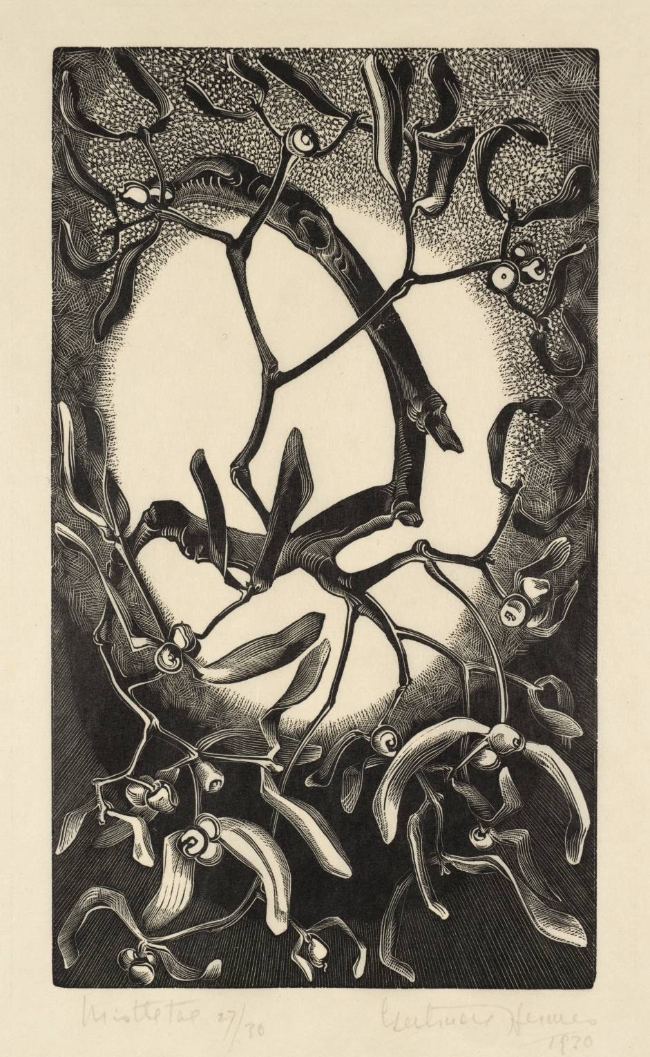 Mistletoe