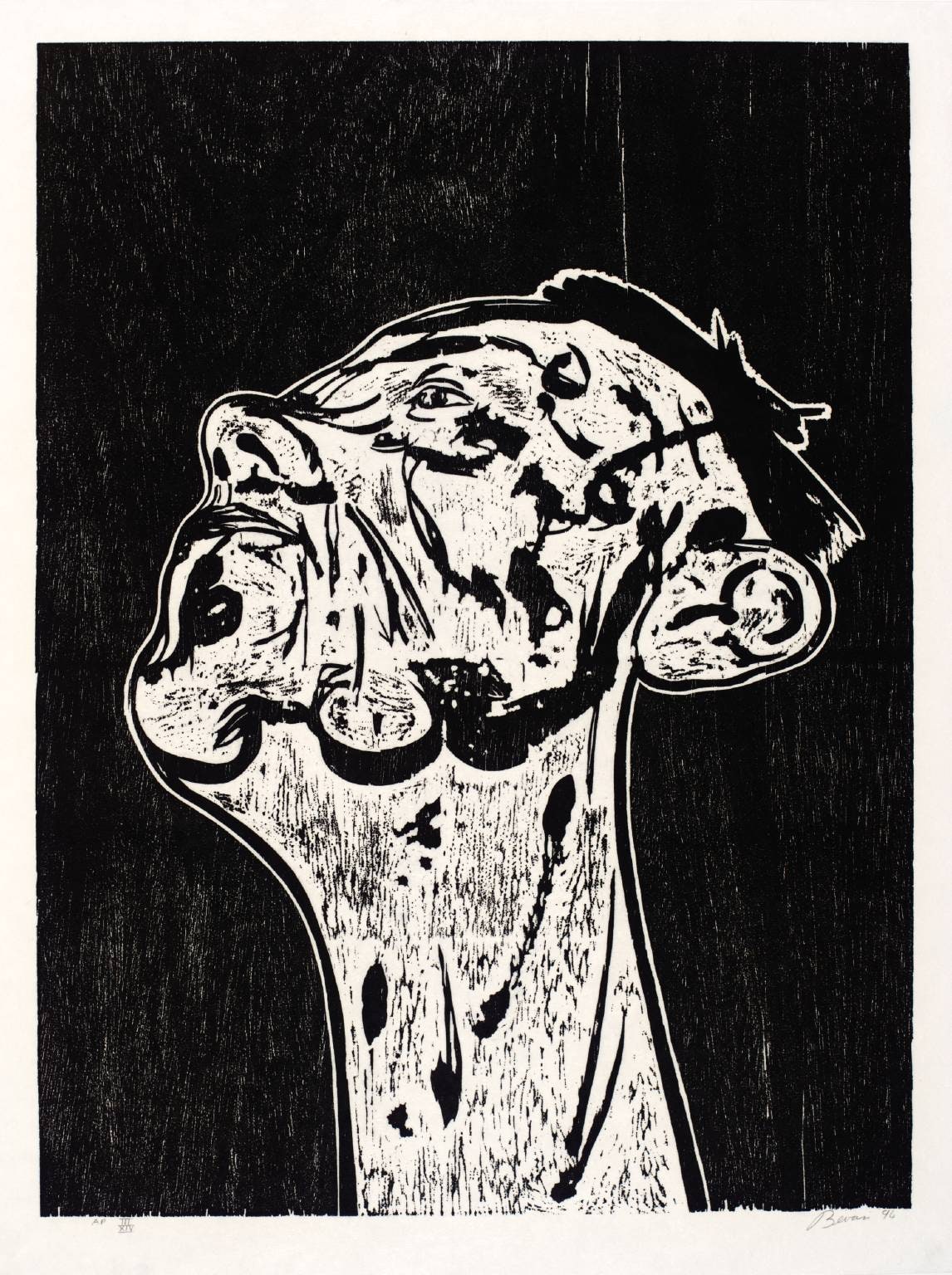 Portrait Head and Neck