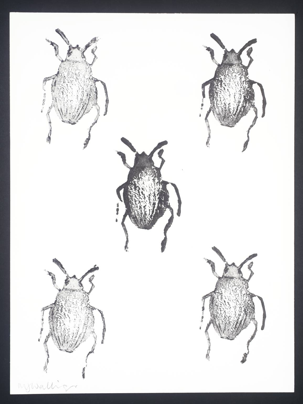 King Edward and the Colorado Beetle