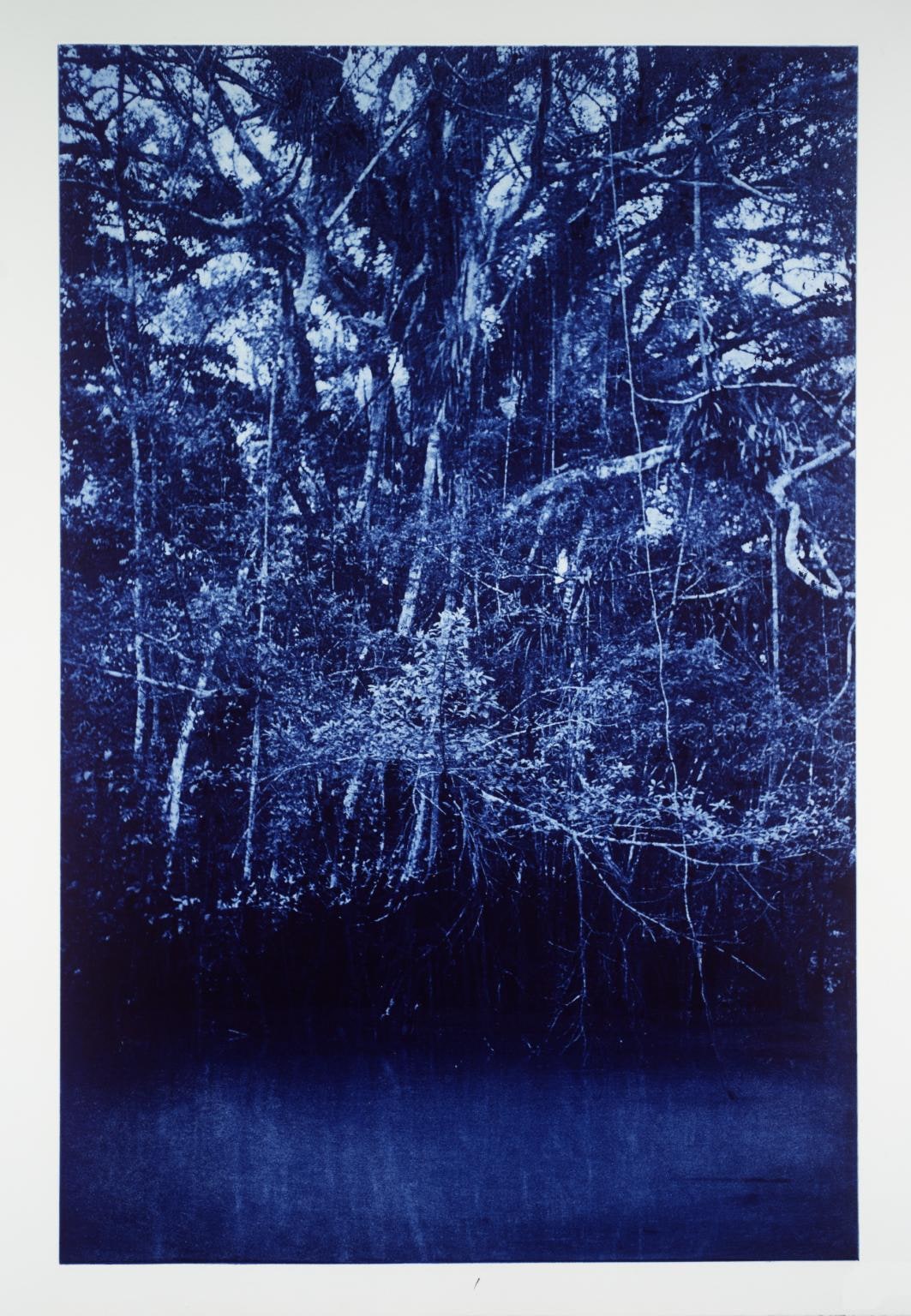Amazon, Peru, 1988