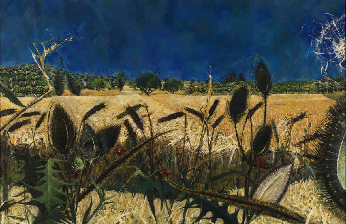 Summer: Young September’s Cornfield