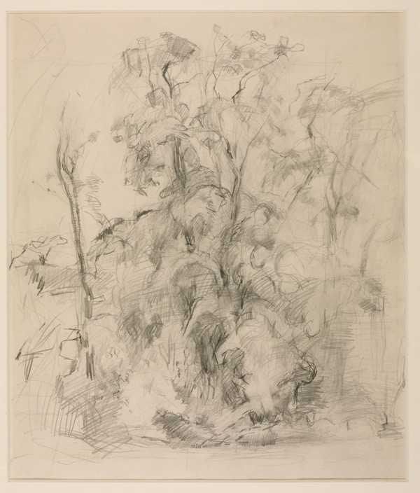Sketch for ‘A Tree Study’