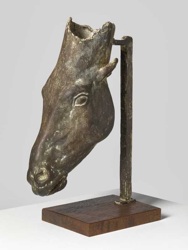 Head of a Horse