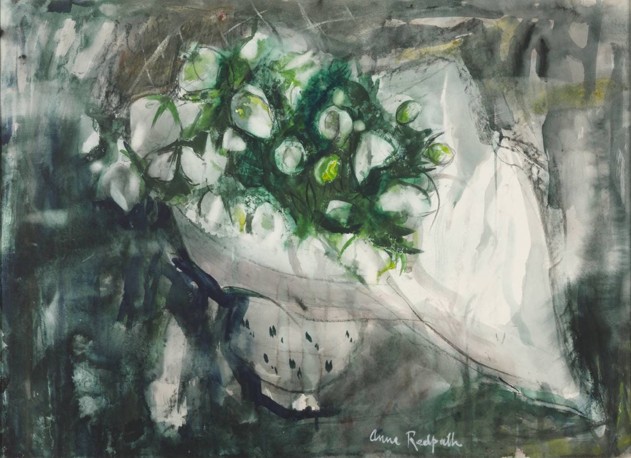 Lenten Roses
