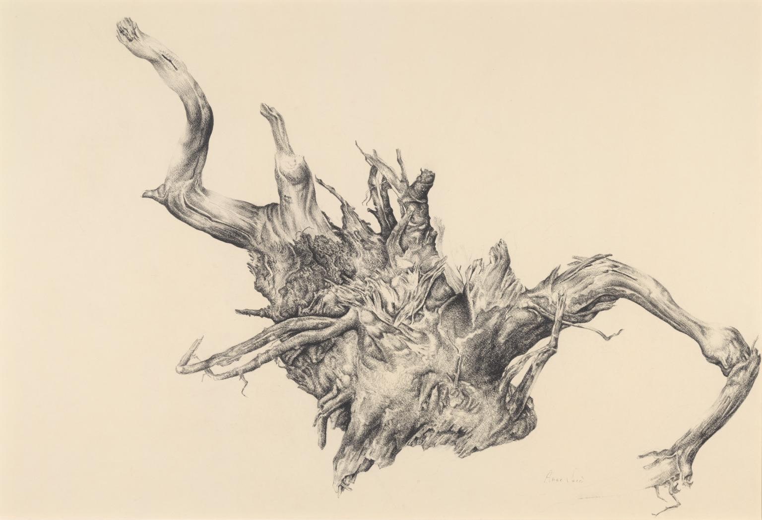 Jo’s Wild Wood