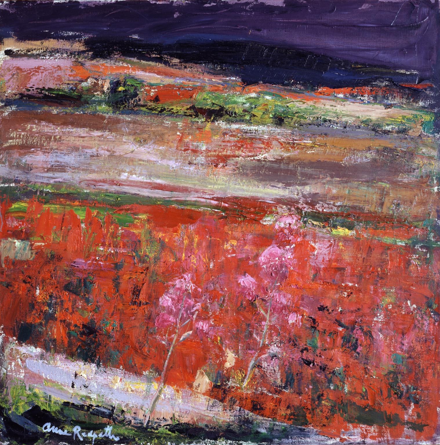 The Poppy Field
