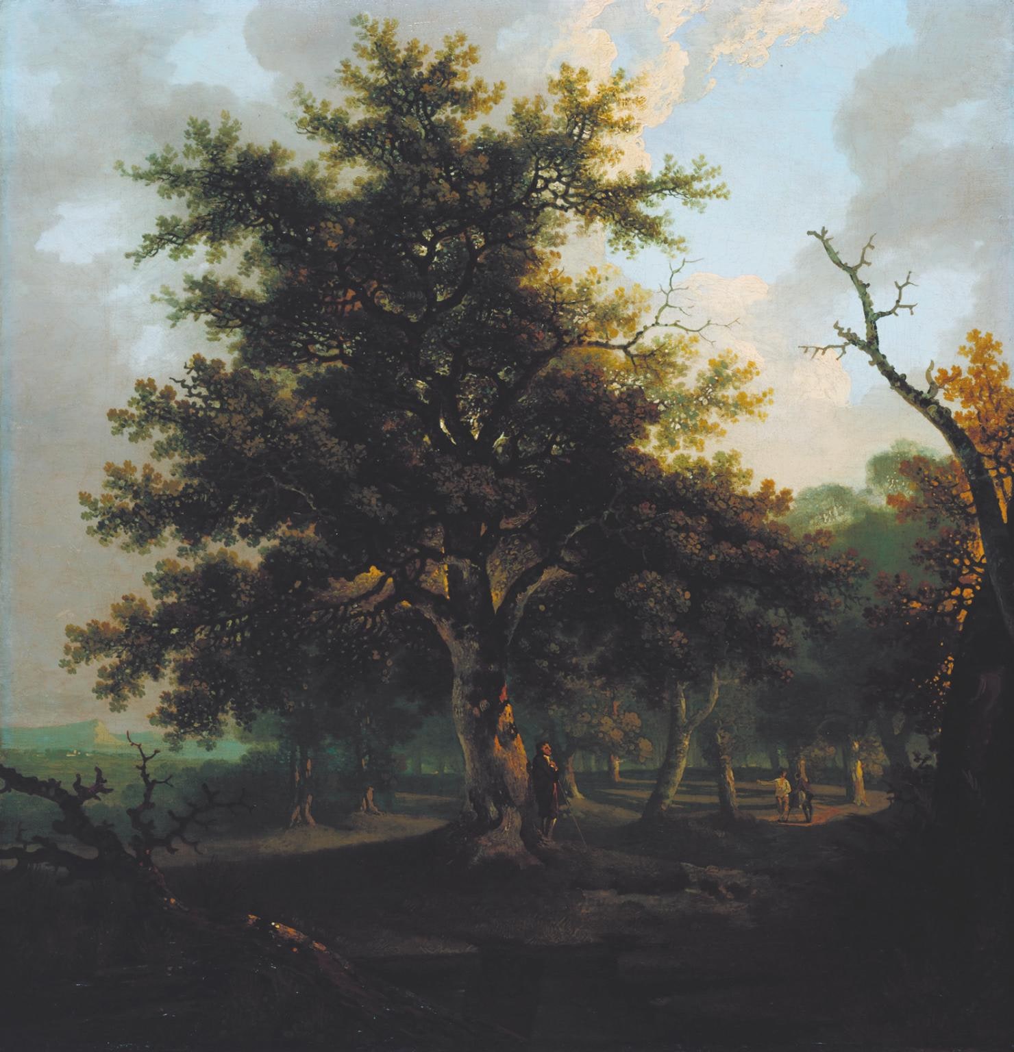 The Oak Tree