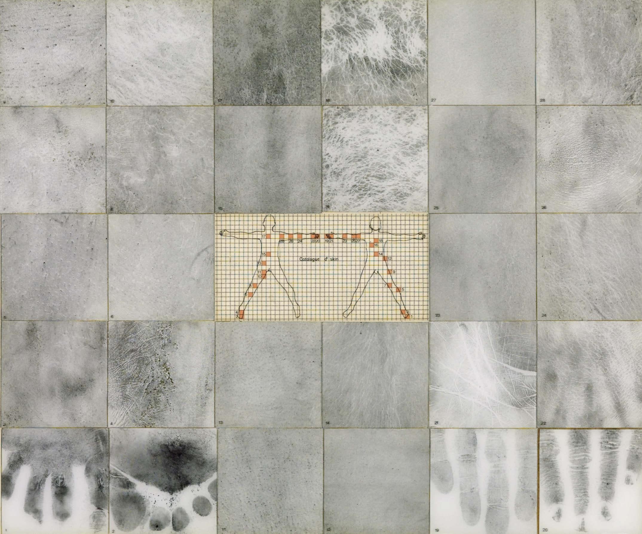 Catalogue [male symbol] Skin