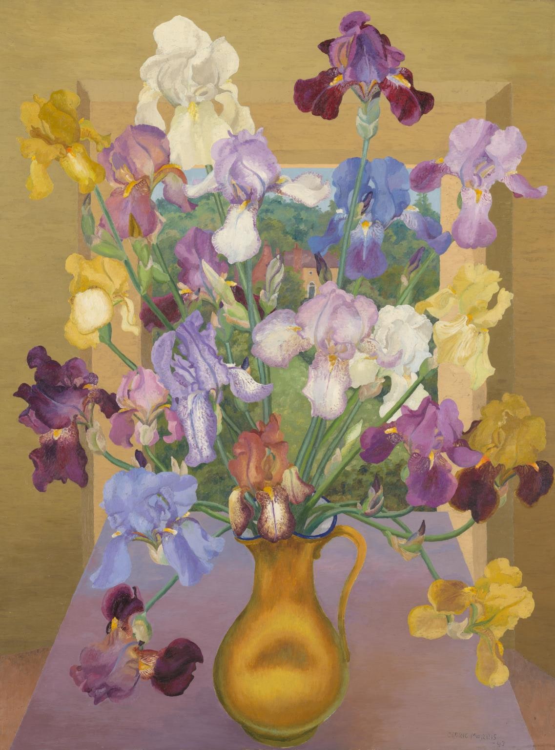 Iris Seedlings