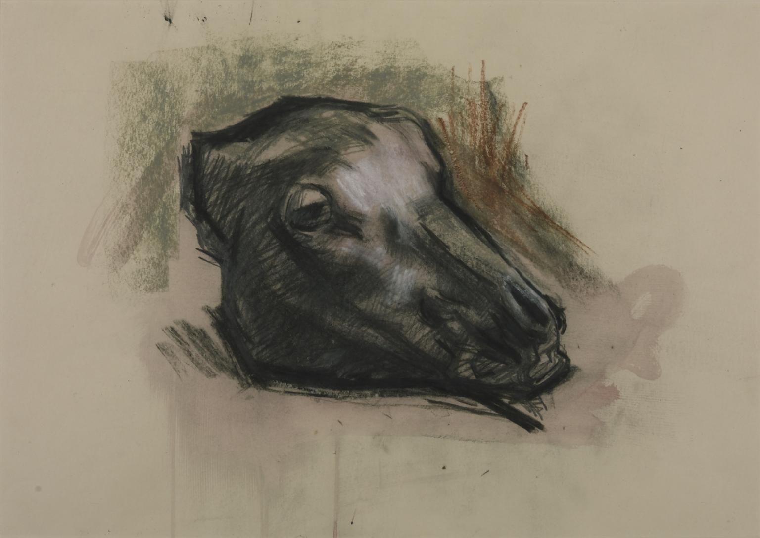 Sheep’s Head