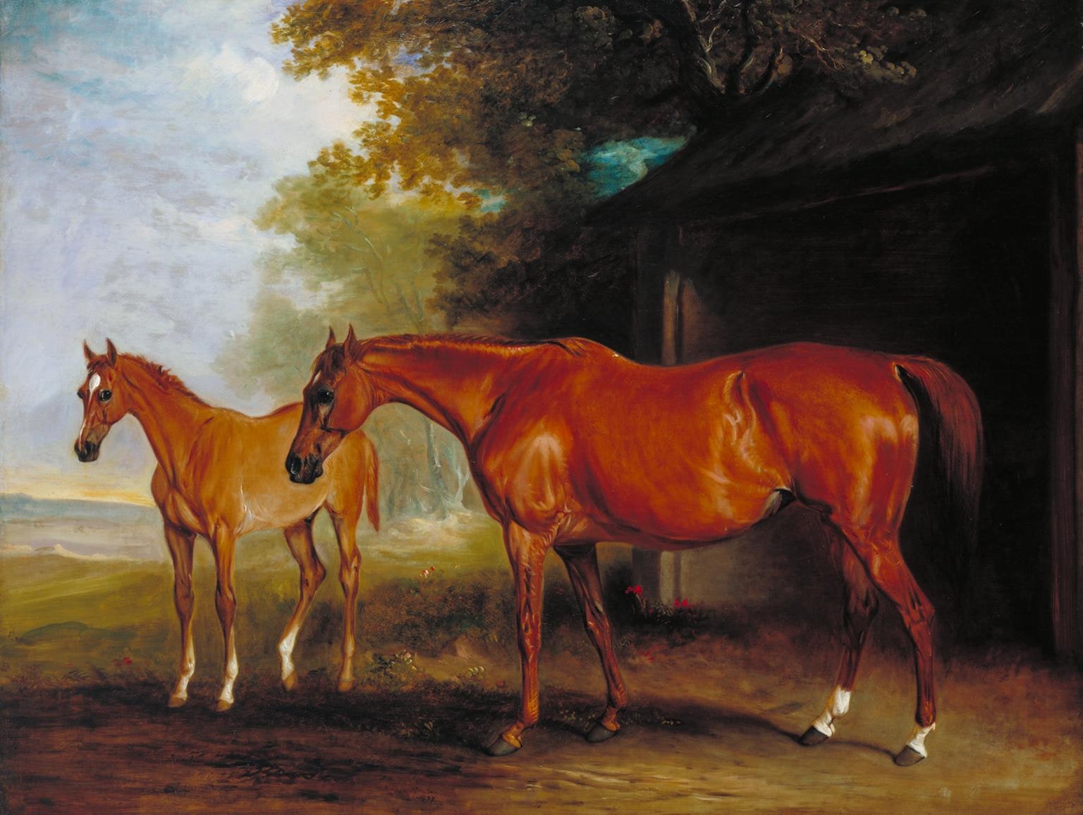 Defiance, a Brood Mare, with Reveller, a Foal