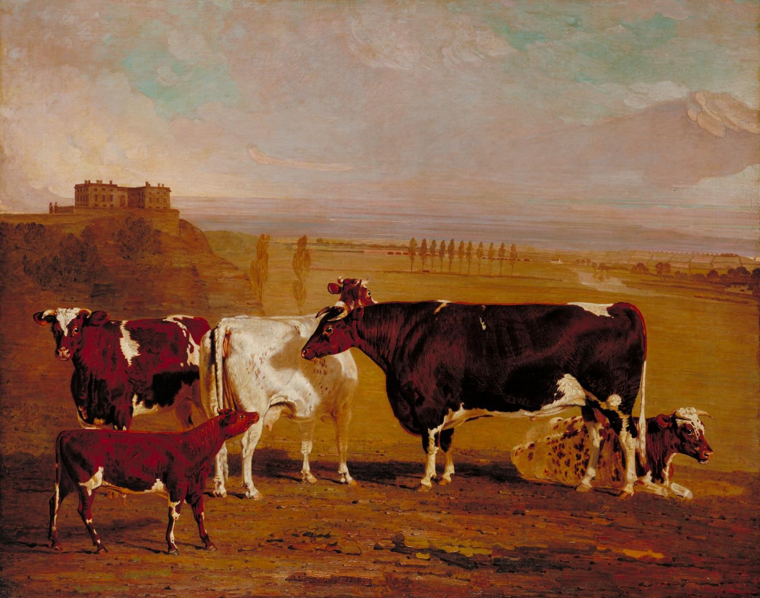 Portraits of Cattle of the Improved Short-Horned Breed, the Property of J. Wilkinson Esq. of Lenton, near Nottingham