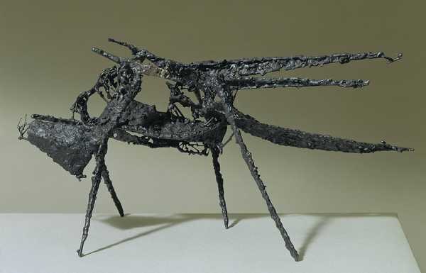 Black Beetle