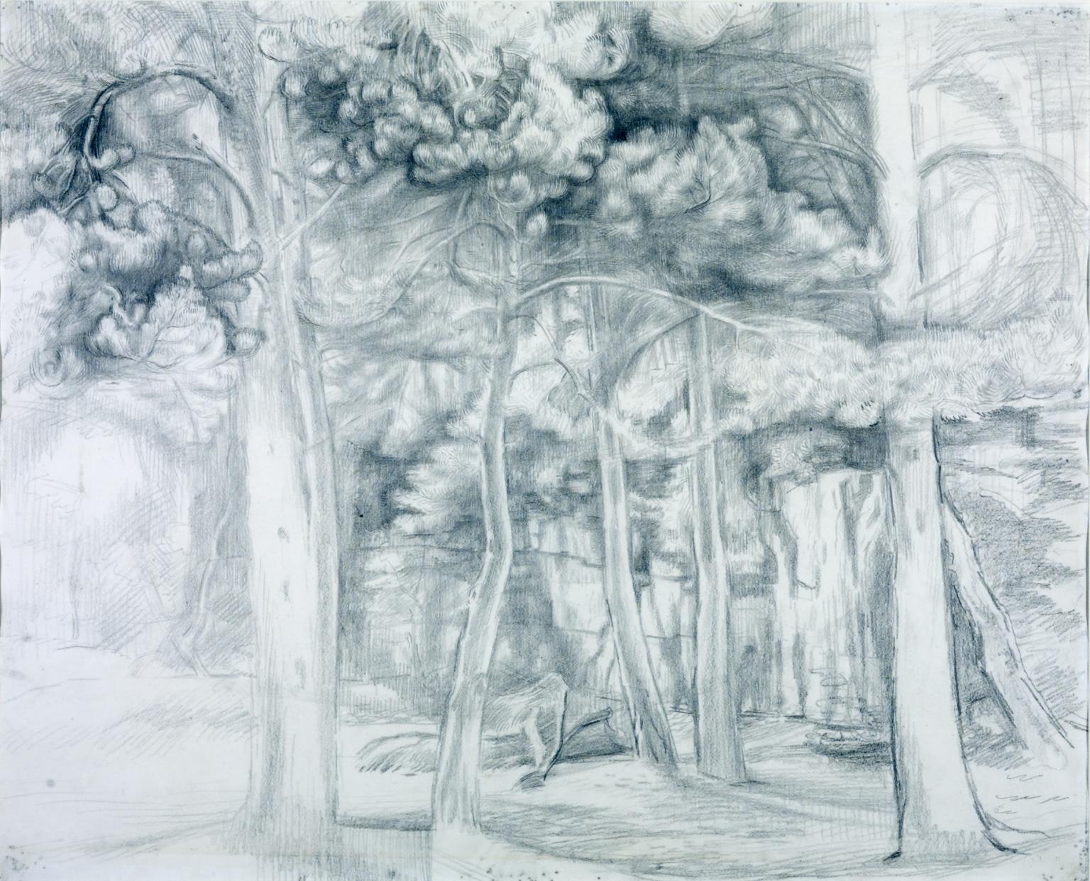 Trees and Rocks