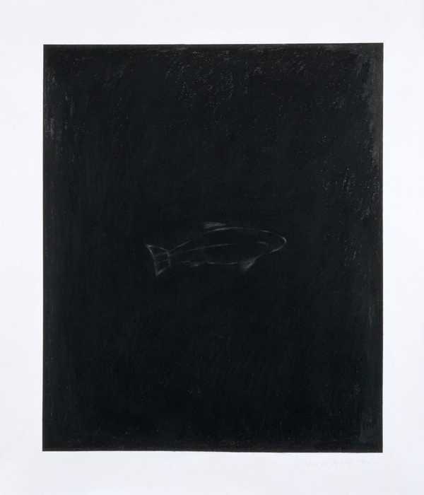Shadows - Fish