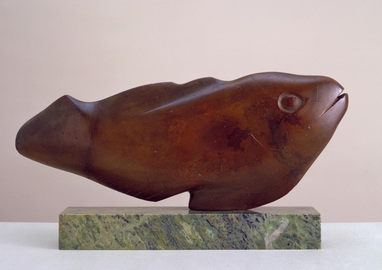 Fish