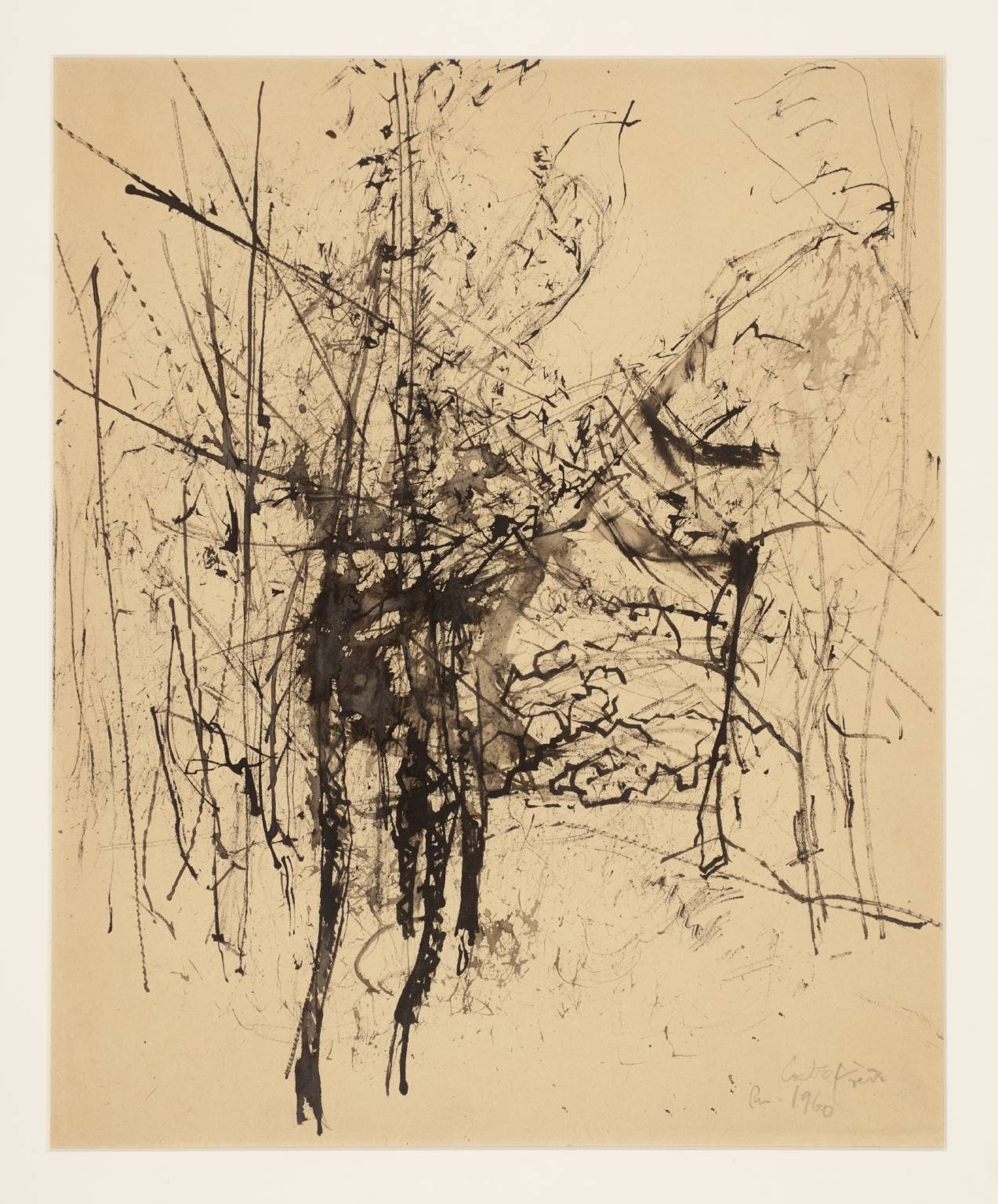 Trees at Costa Frede