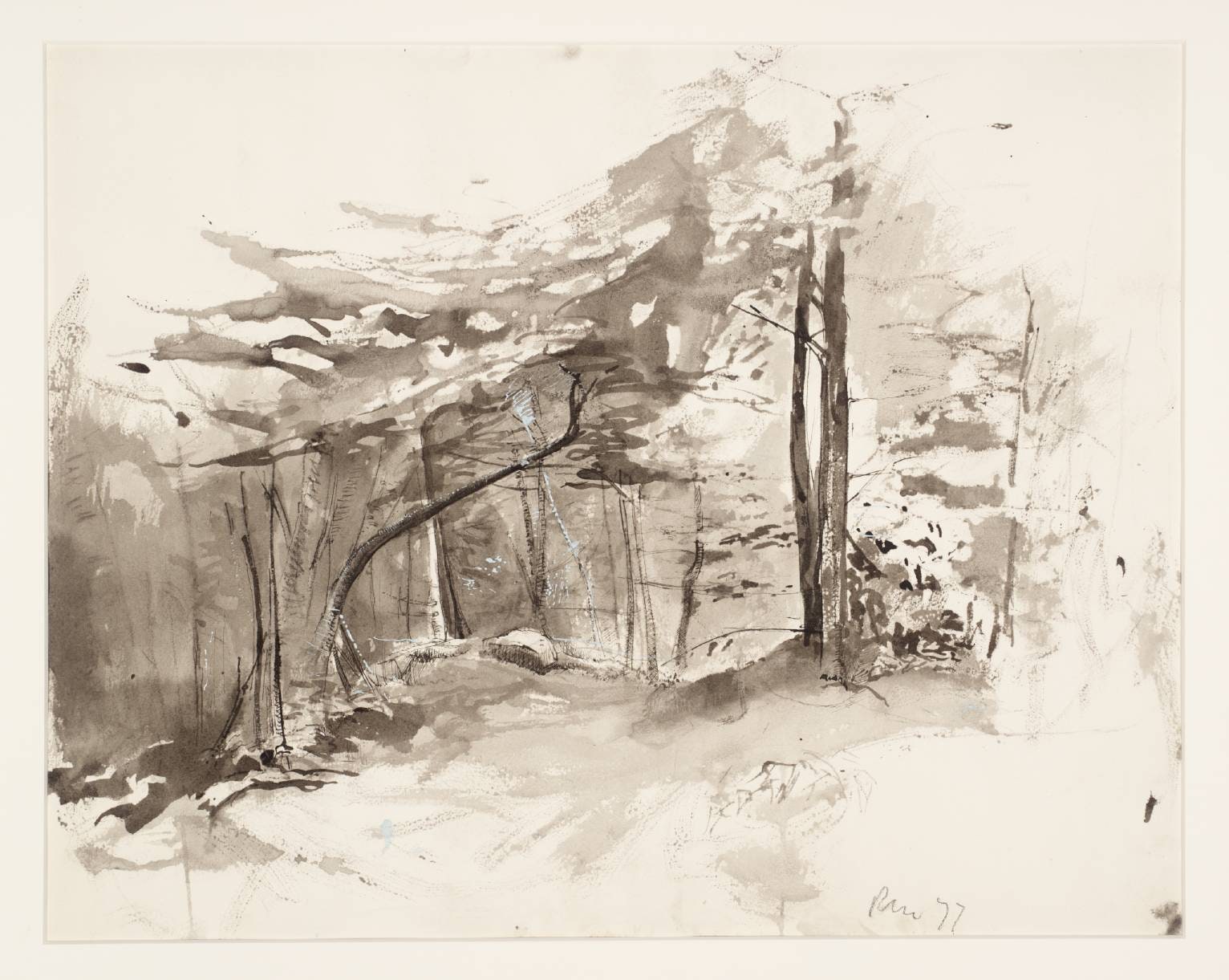 Trees and Undergrowth