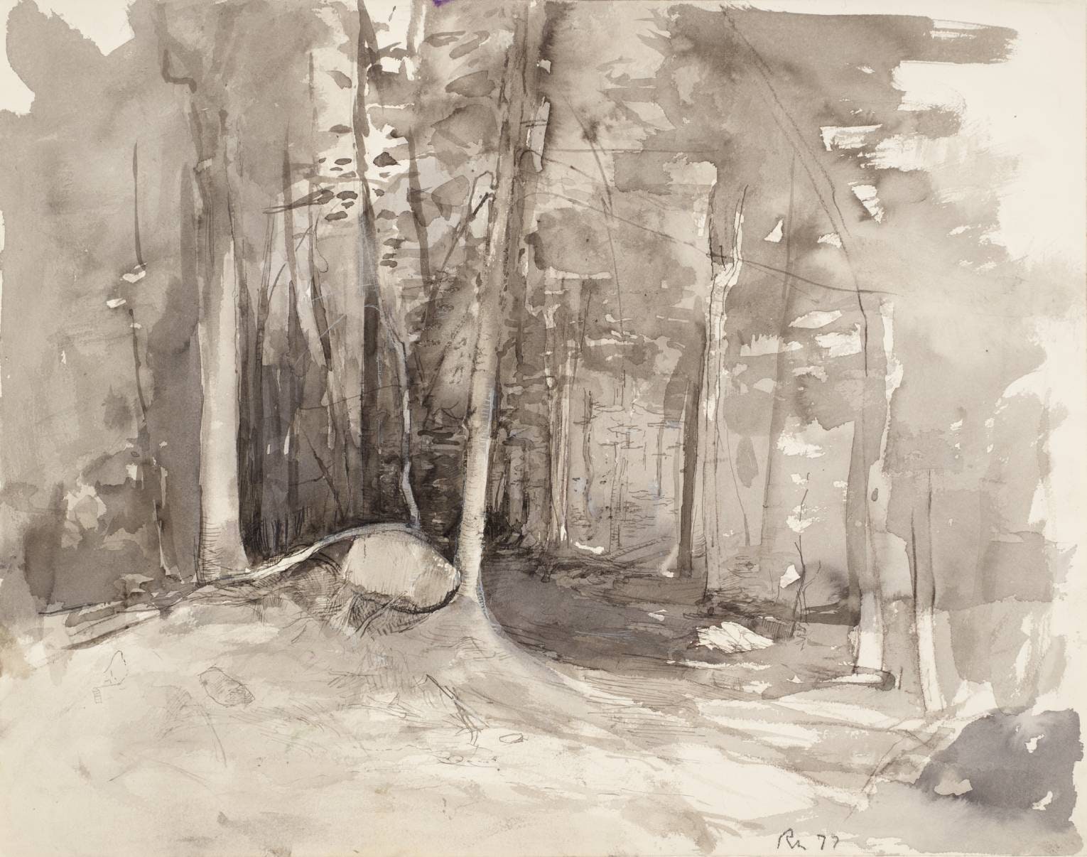 Trees at the Entrance of a Path