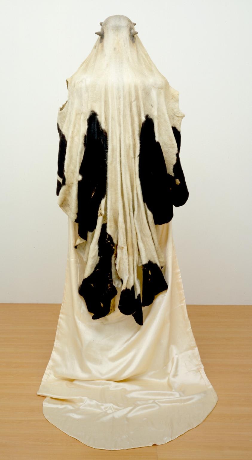Virgin Shroud