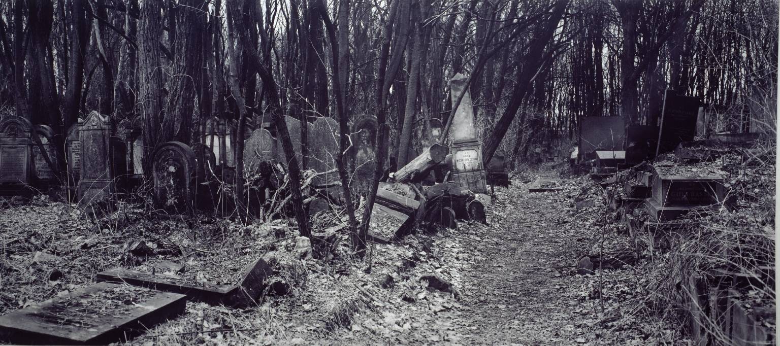 In the Course of Time II
