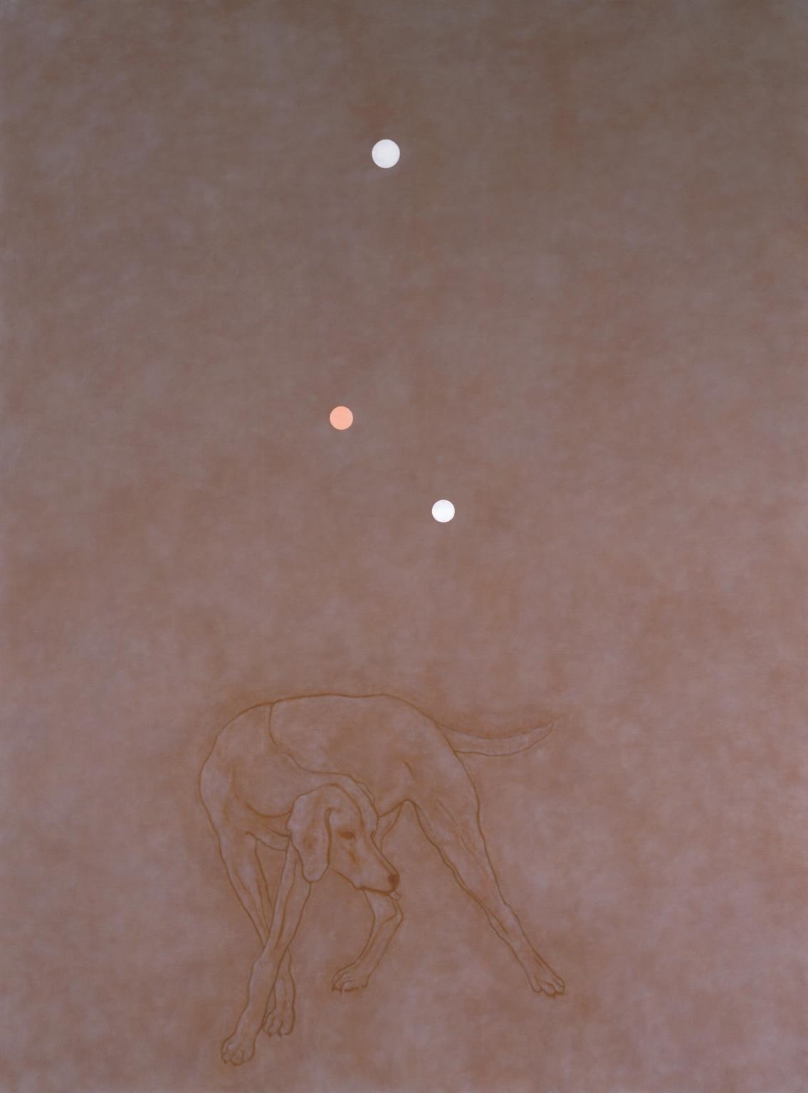 Investigations of a Dog (Pictor)