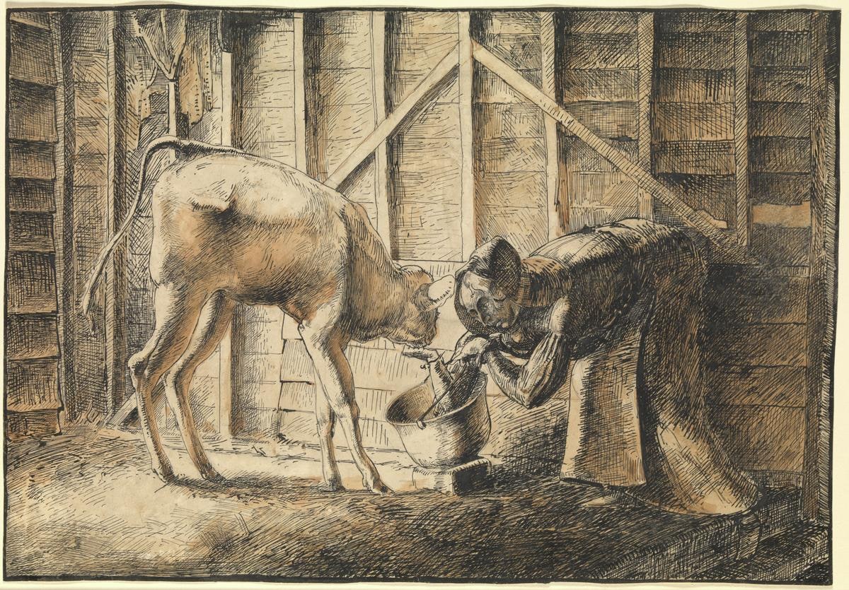 Woman Feeding a Calf