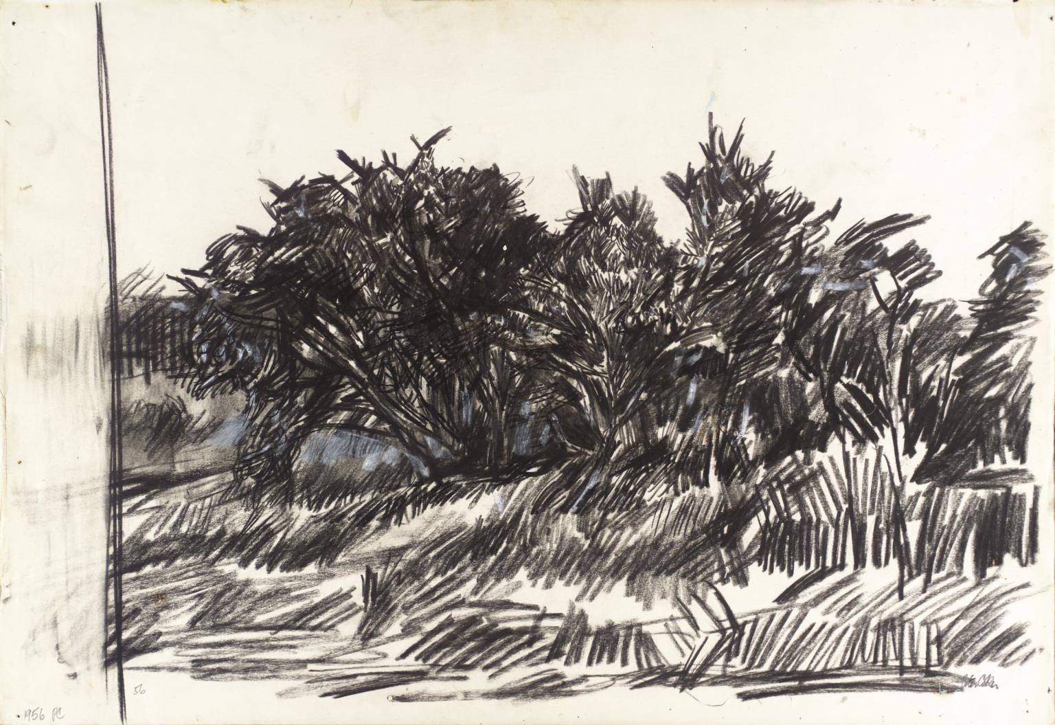 Study for ‘The Gorse Bush’
