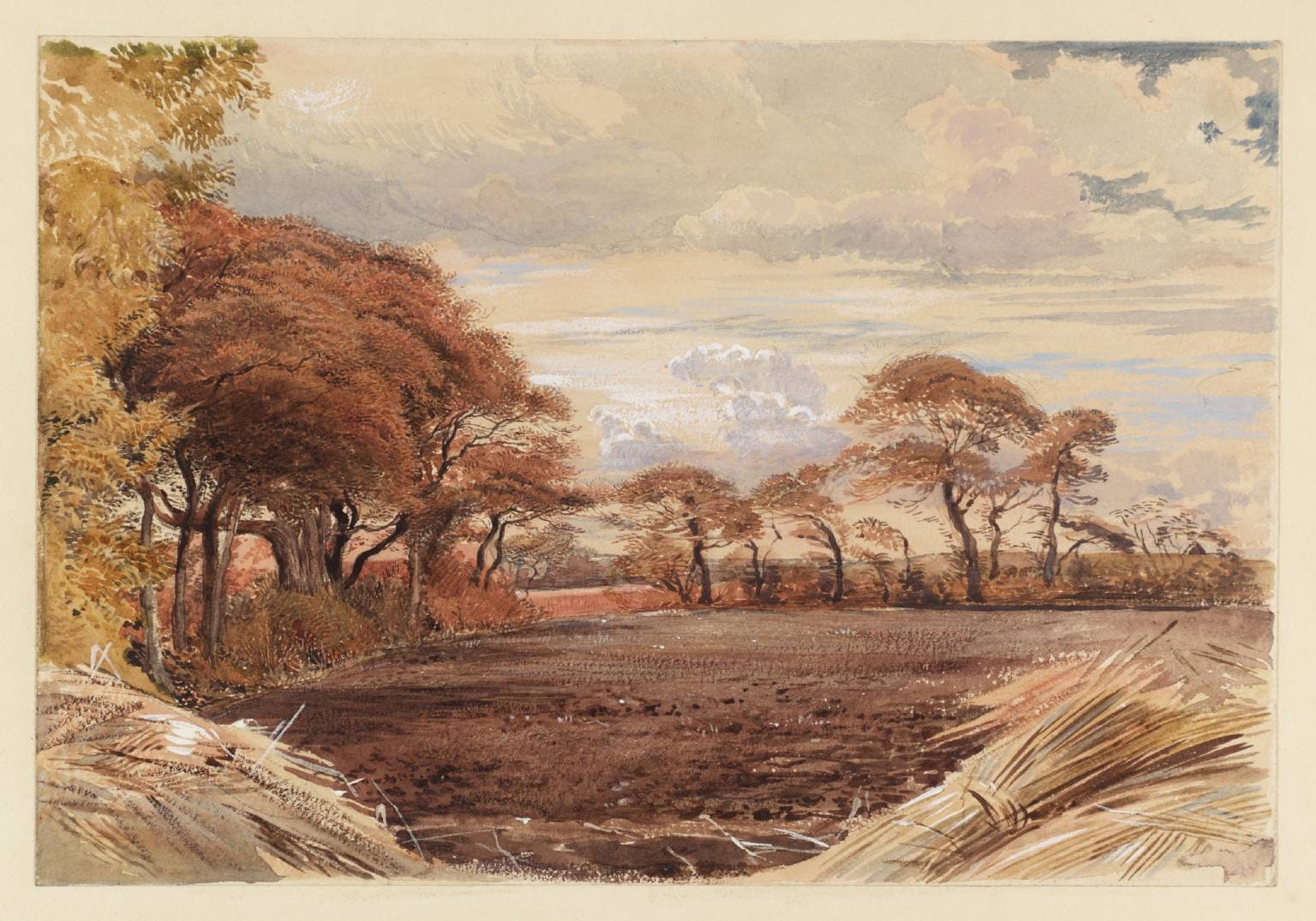 A Field near Margate