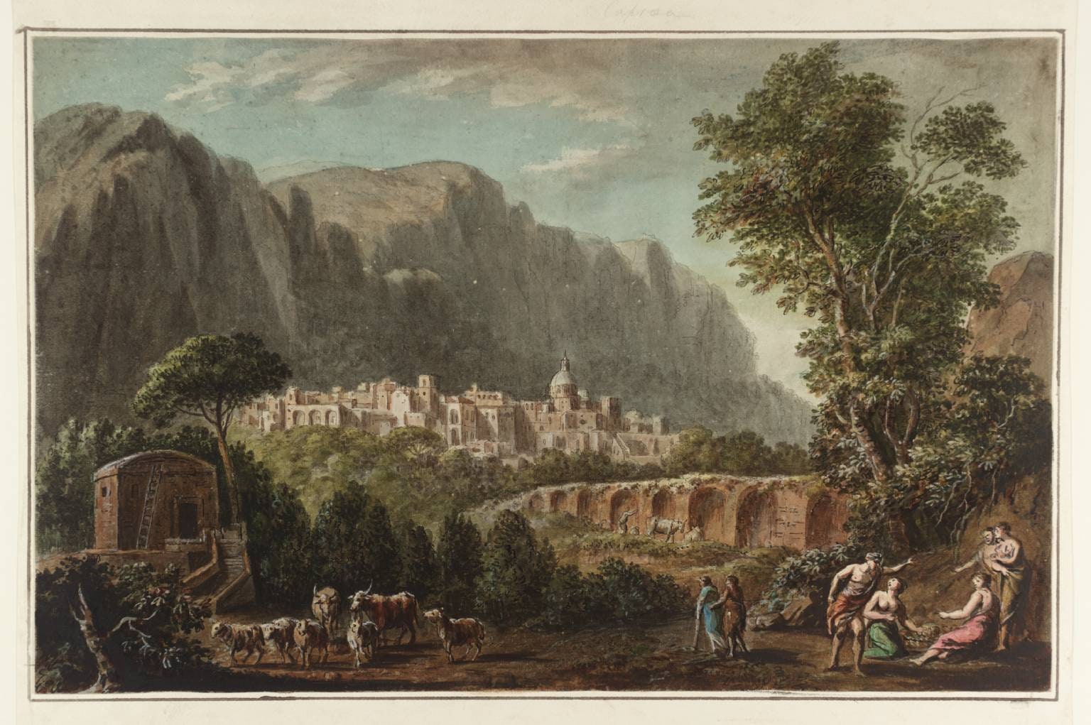 11. Capraea