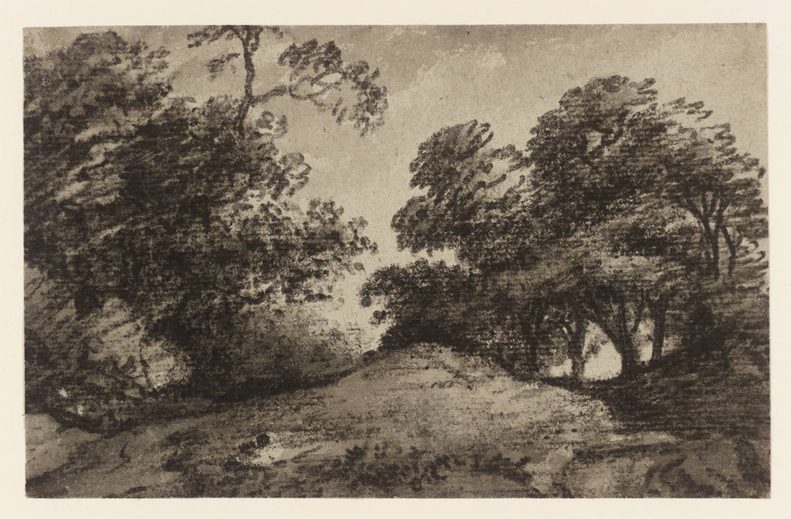 Wooded Landscape