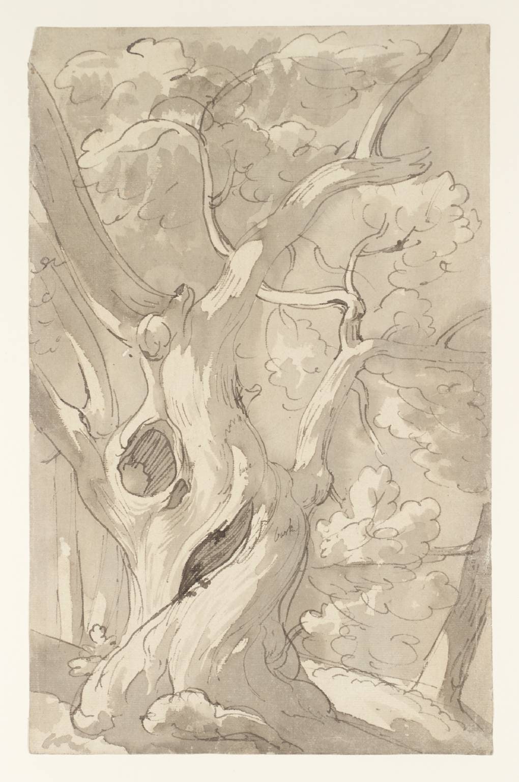 Chestnut Trees, Morning. Frascati