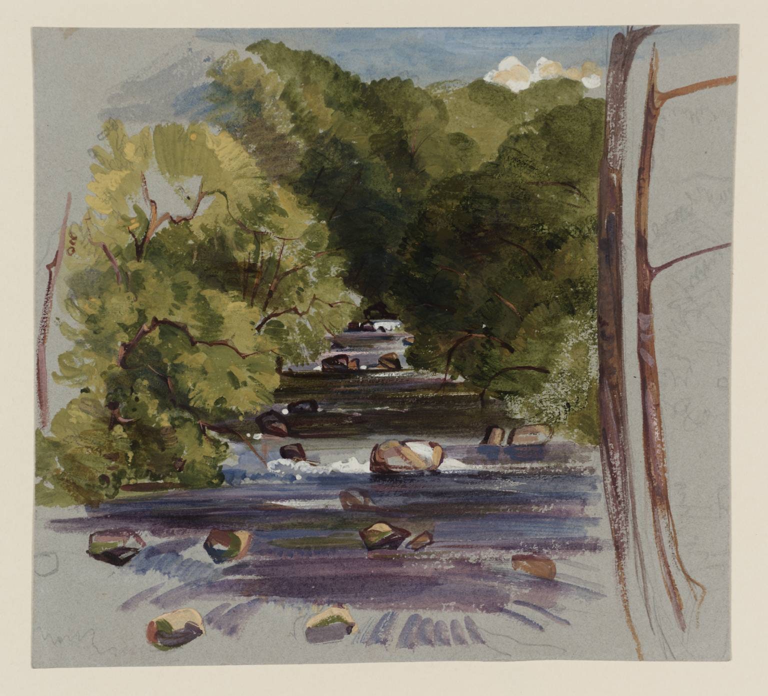 A Wooded Stream