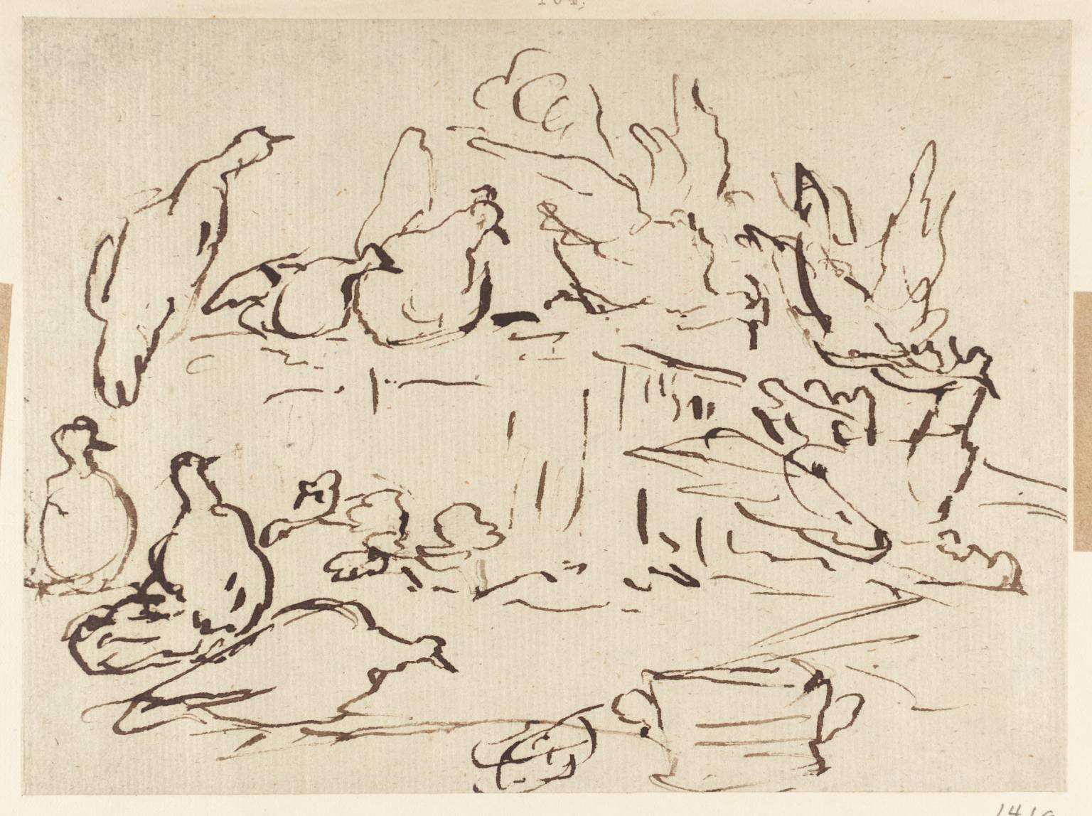 Poultry