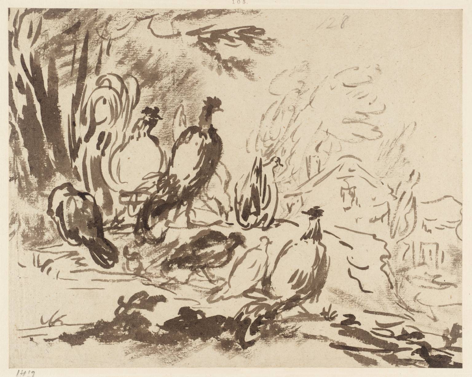 Poultry