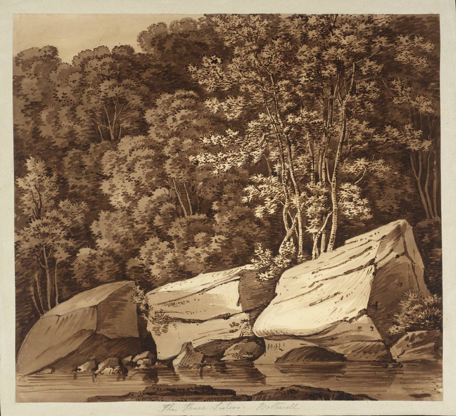The Three Sisters, Bothwell. (Rocks under Trees)