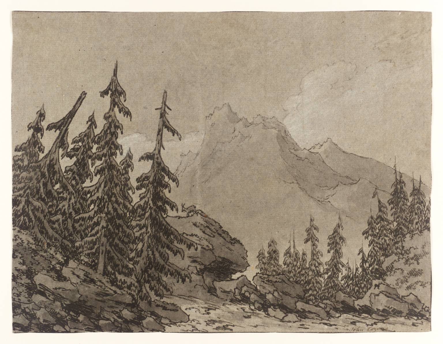 Study of Trees