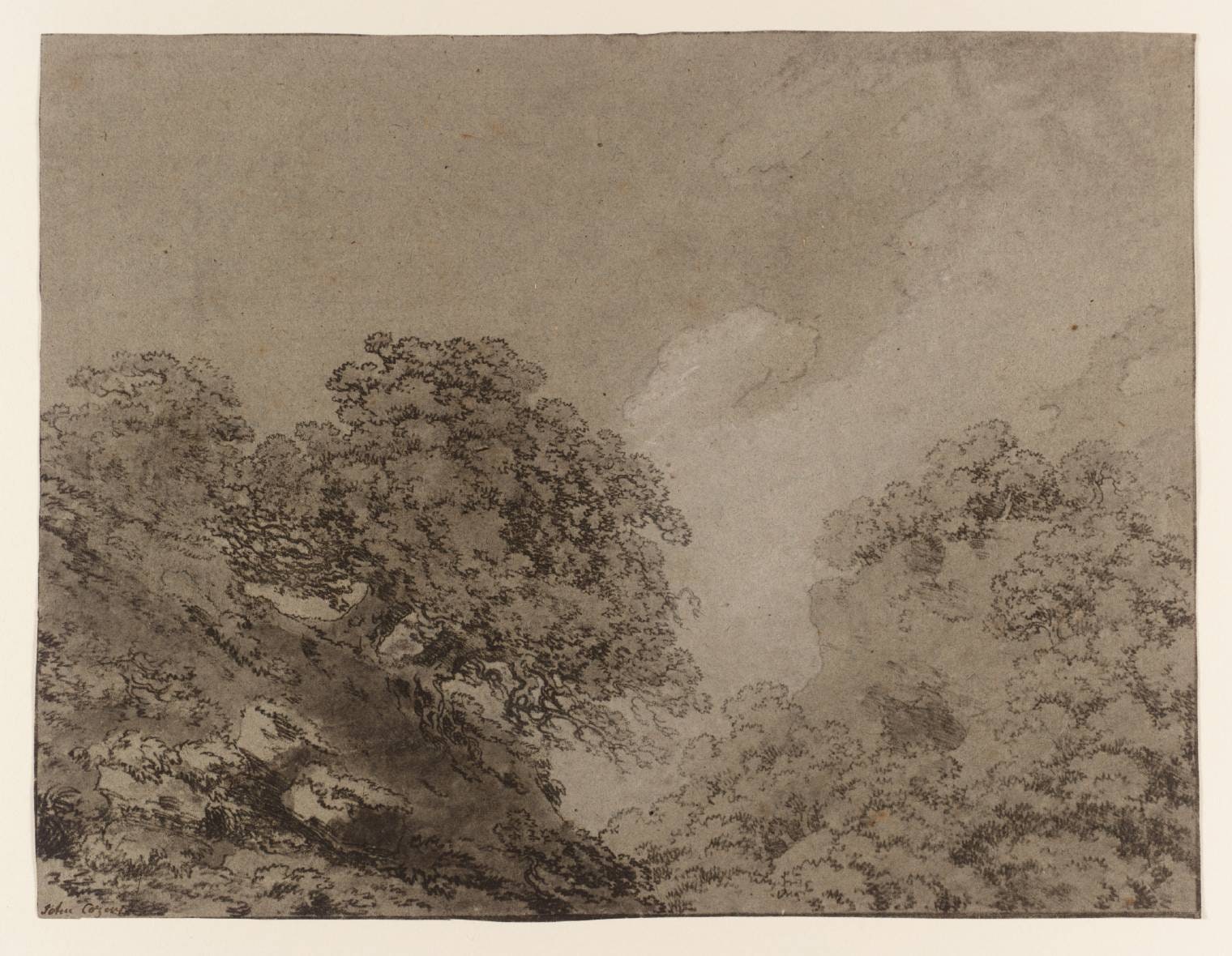 Study of Trees