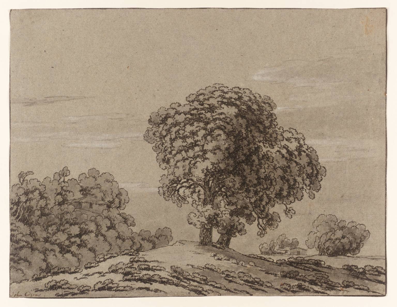 Study of Trees