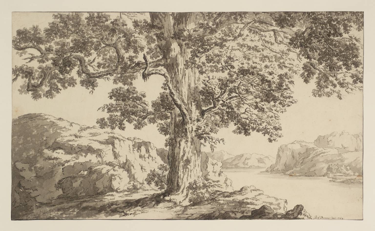 Tree and Lake Scene