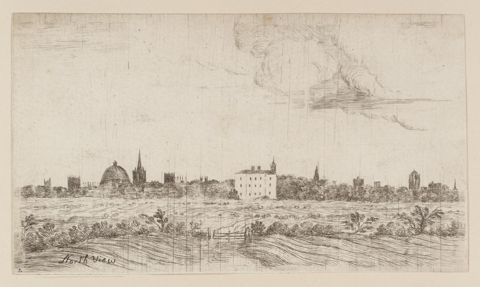 North View