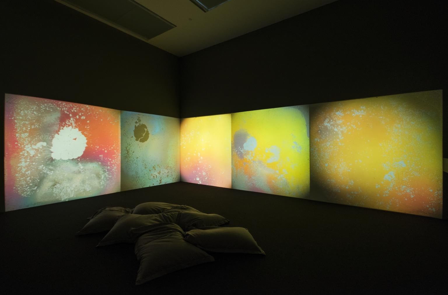 Liquid Crystal Environment