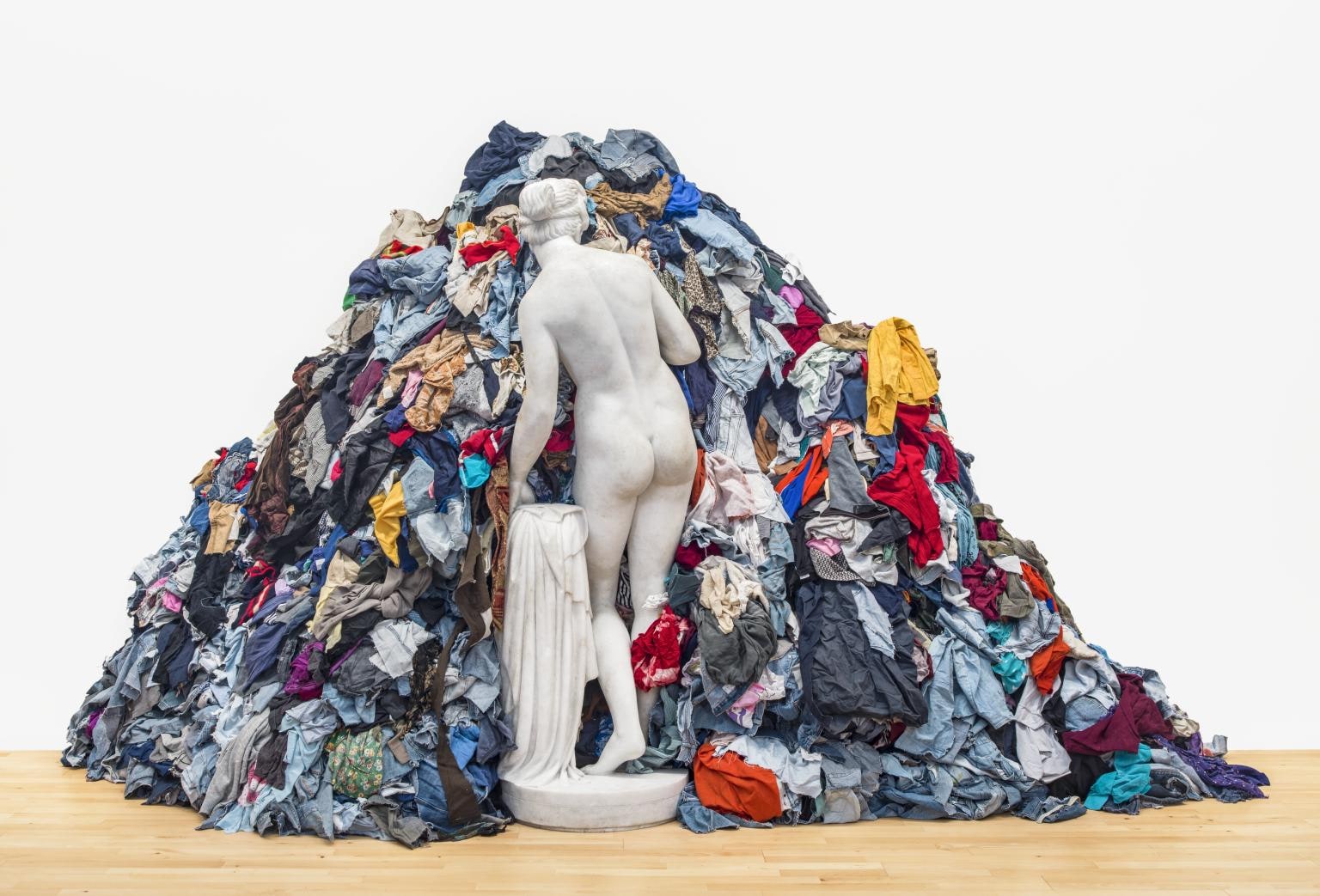 Venus of the Rags