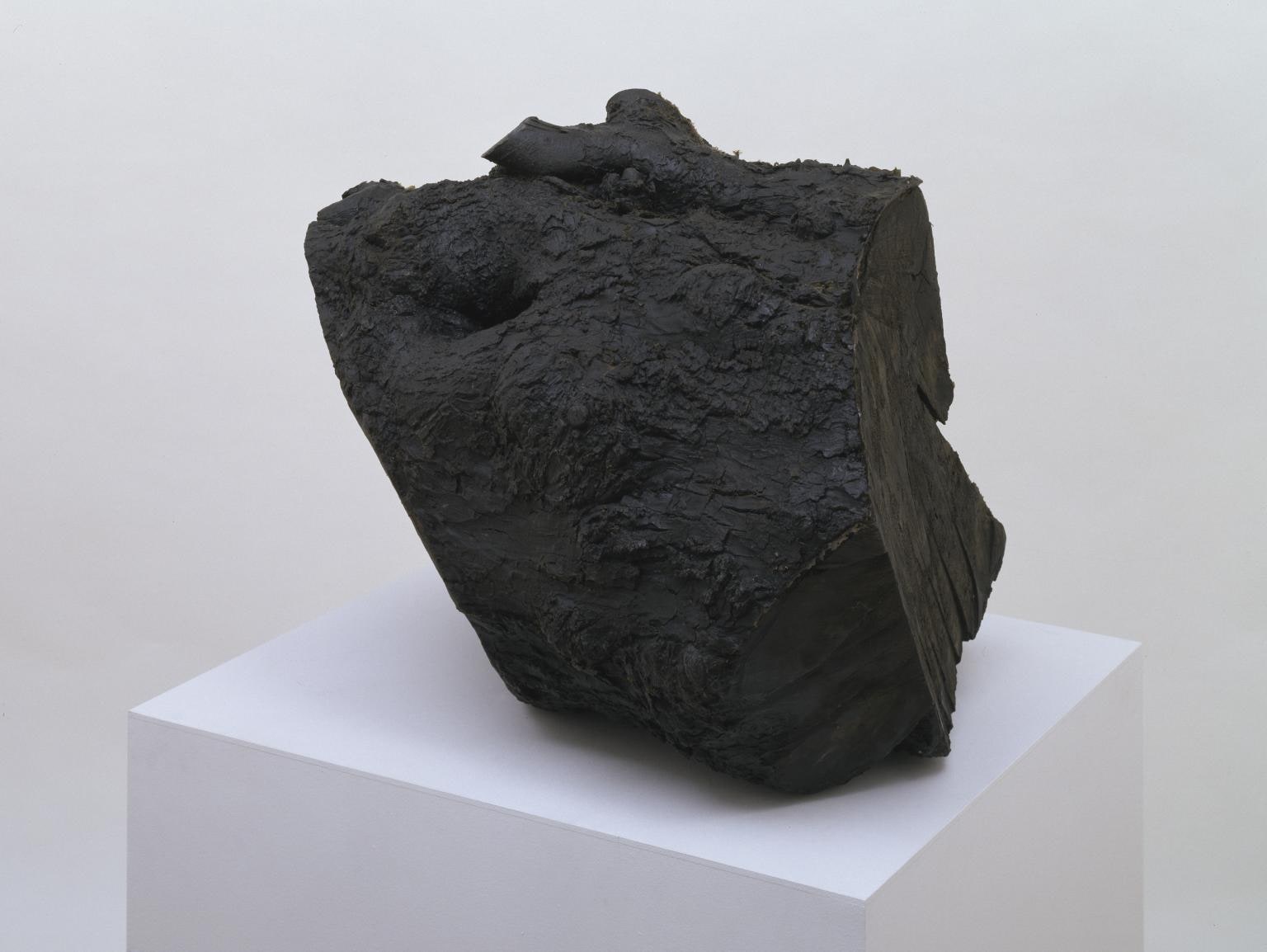Untitled (Small Root)