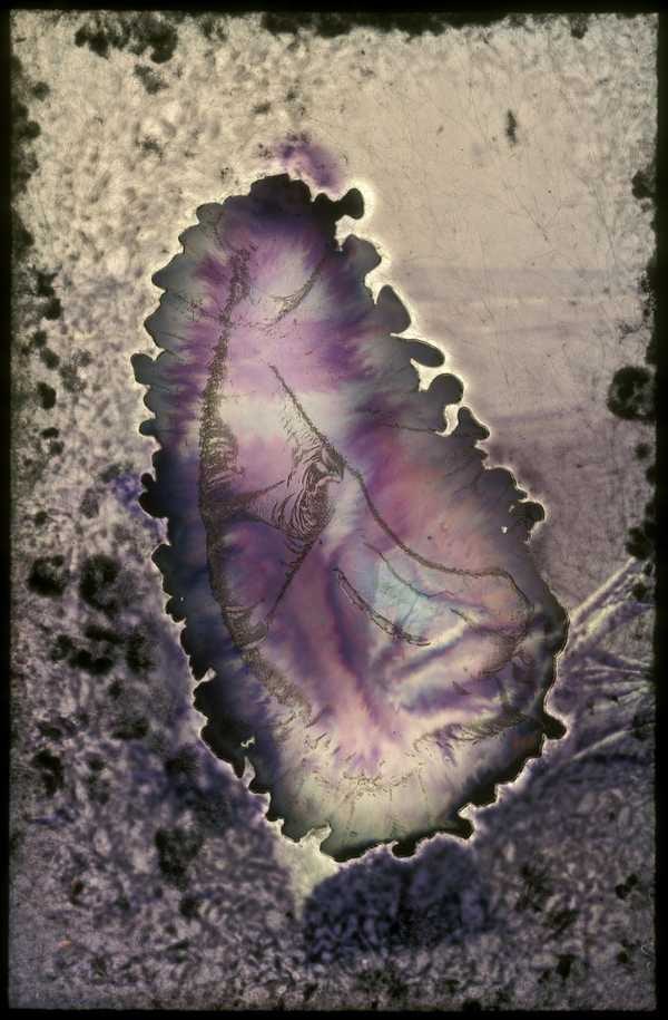 Untitled (III)