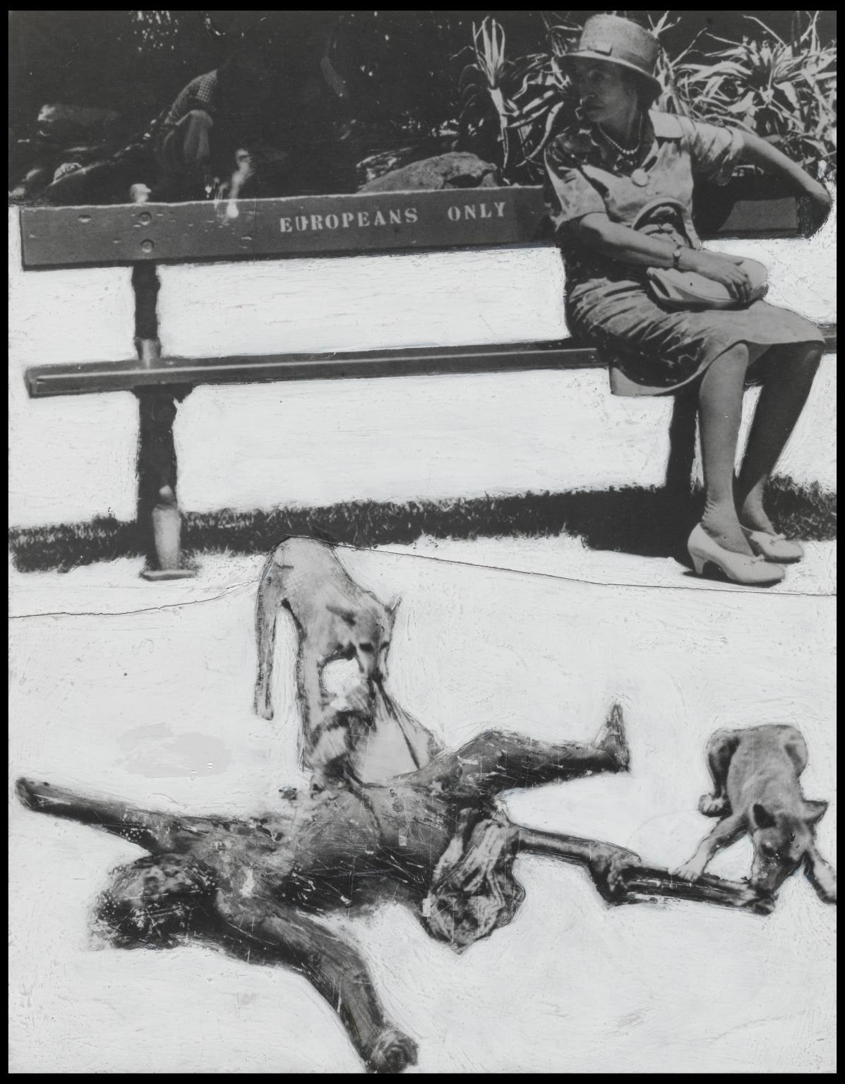 Apartheid South Africa
