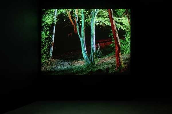 Nightvision