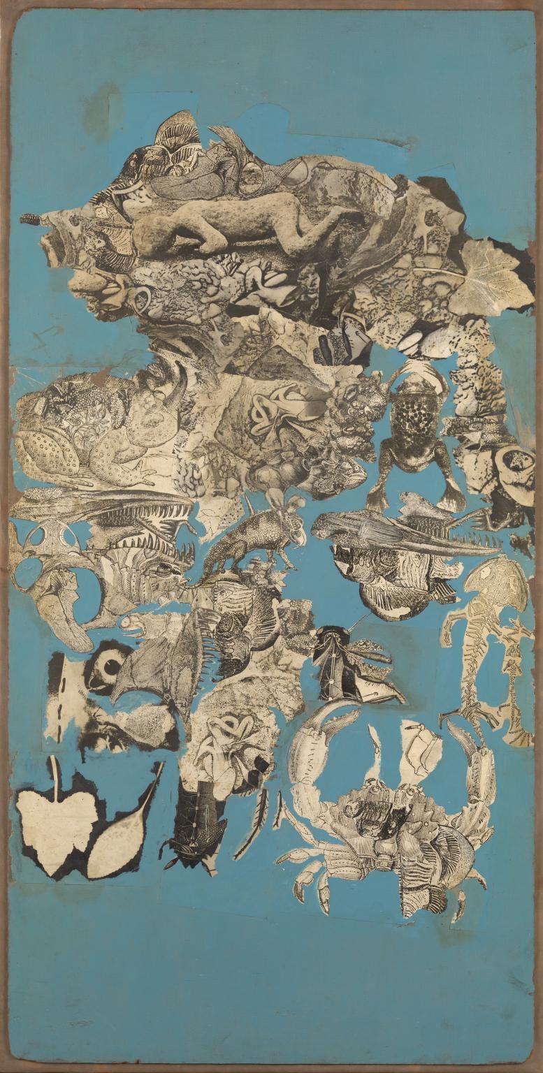 Collage for ‘Patio and Pavilion’ (cycle of life and death in a pond)
